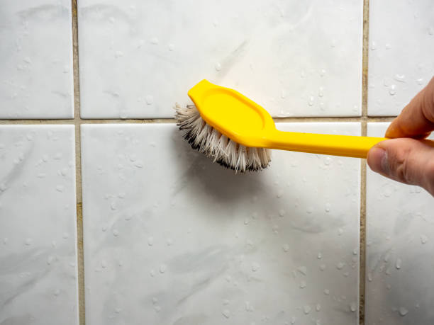 Best Certified Mold Removal  in Bradley Gardens, NJ