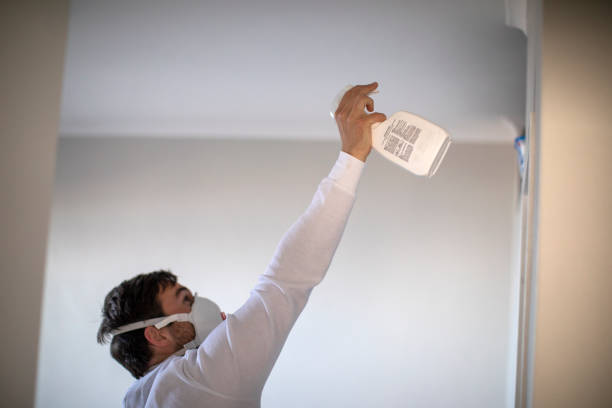 Best Black Mold Removal  in Bradley Gardens, NJ