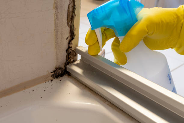Best Crawl Space Mold Removal  in Bradley Gardens, NJ