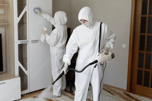 Best Mold Damage Repair  in Bradley Gardens, NJ